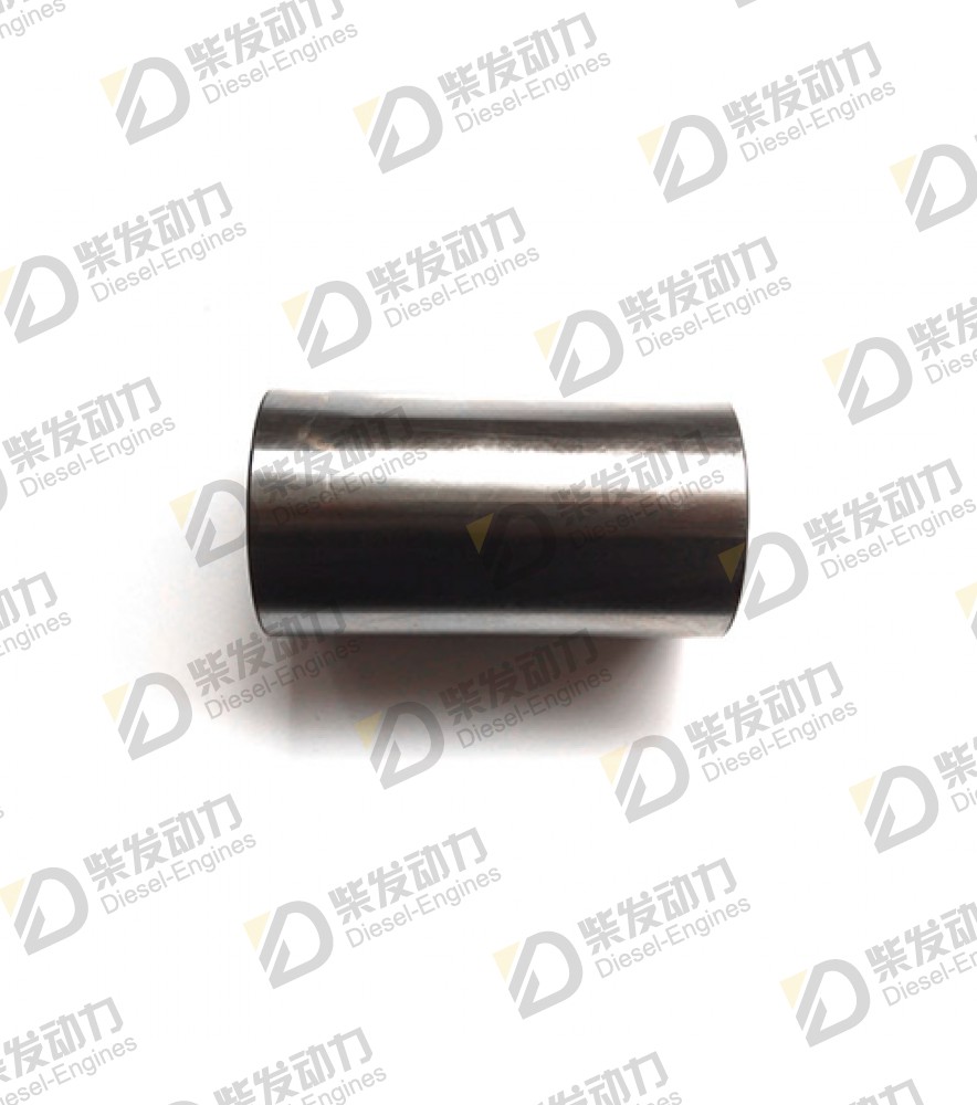 Gudgeon pin